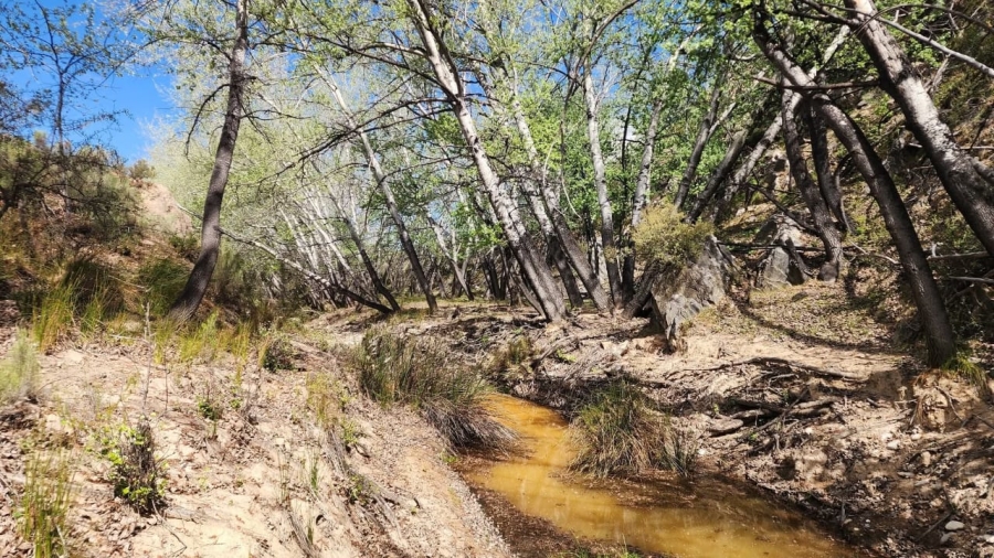 3 Bedroom Property for Sale in Uniondale Western Cape